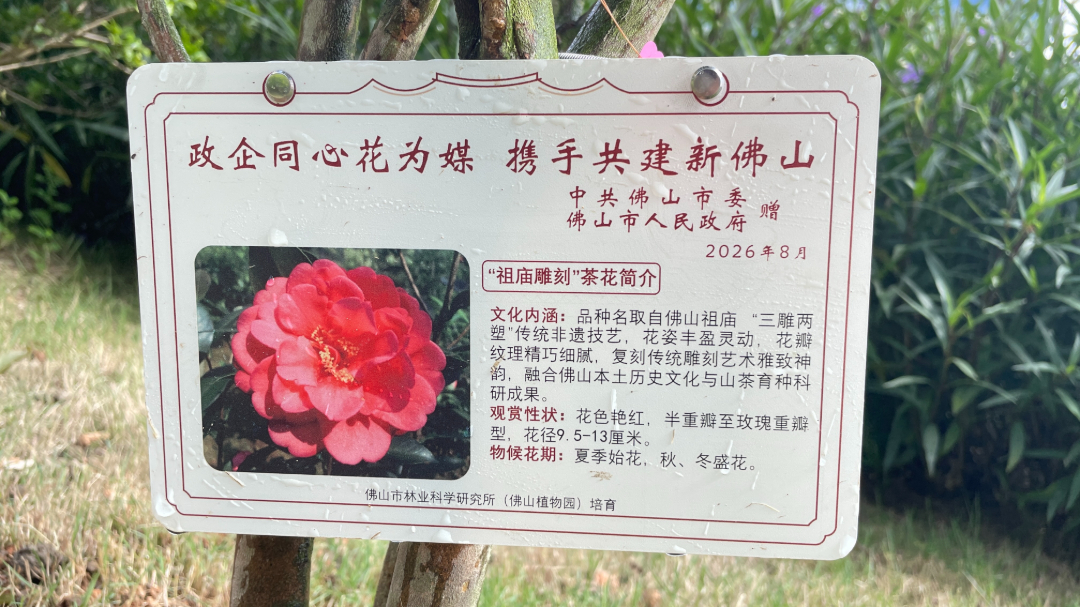 df6234c0-920a-4bab-8f1f-3eaf12f3dc43.jpg